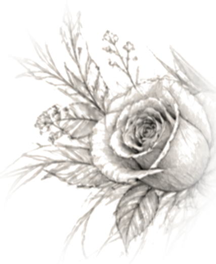 Pencil sketch rose